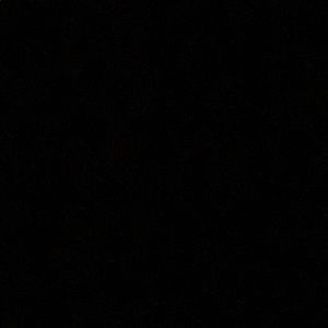 Meet your Posher, Amelia